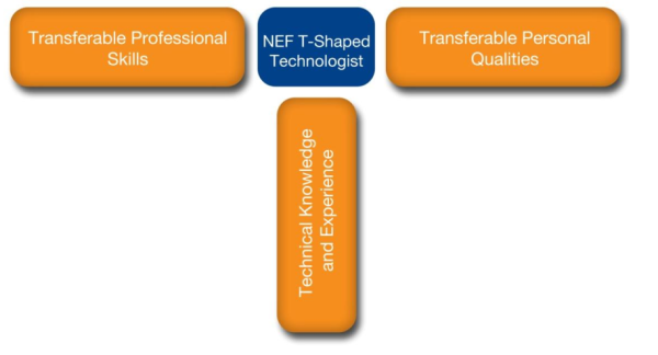 tshapetechnologist